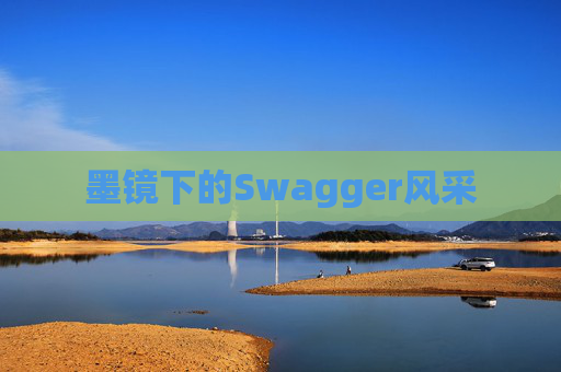 墨镜下的Swagger风采