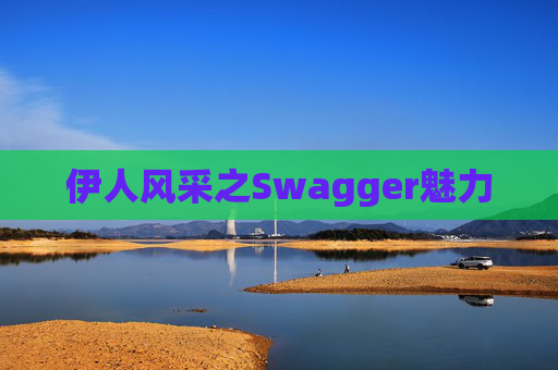 伊人风采之Swagger魅力