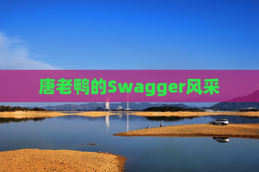 唐老鸭的Swagger风采