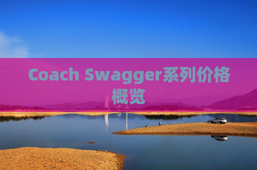 Coach Swagger系列价格概览